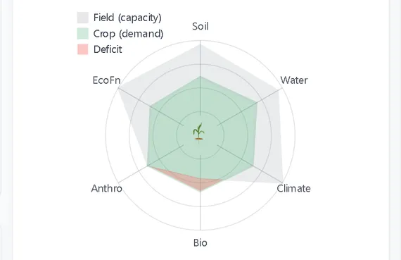 SoilyWorld field ecosystem analysis